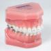 Beam Orthodontics